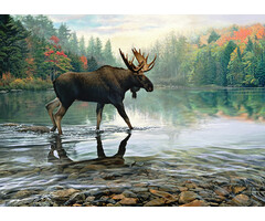 Cobble Hill Puzzles 1000 pcs - Moose Crossing