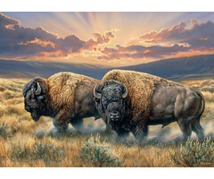 Cobble Hill Puzzles 1000 pcs - Dusty Plains