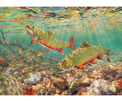 Cobble Hill Puzzles 1000 pcs - Brook Trout