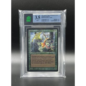Wizards of the Coast Magic the Gathering Graded Singles - Erhnam Djinn 1993 Arabian Nights 3.5 VG+ Wizards of the Coast Magic the Gathering Graded Singles - Erhnam Djinn 1993 Arabian Nights 3.5 VG+