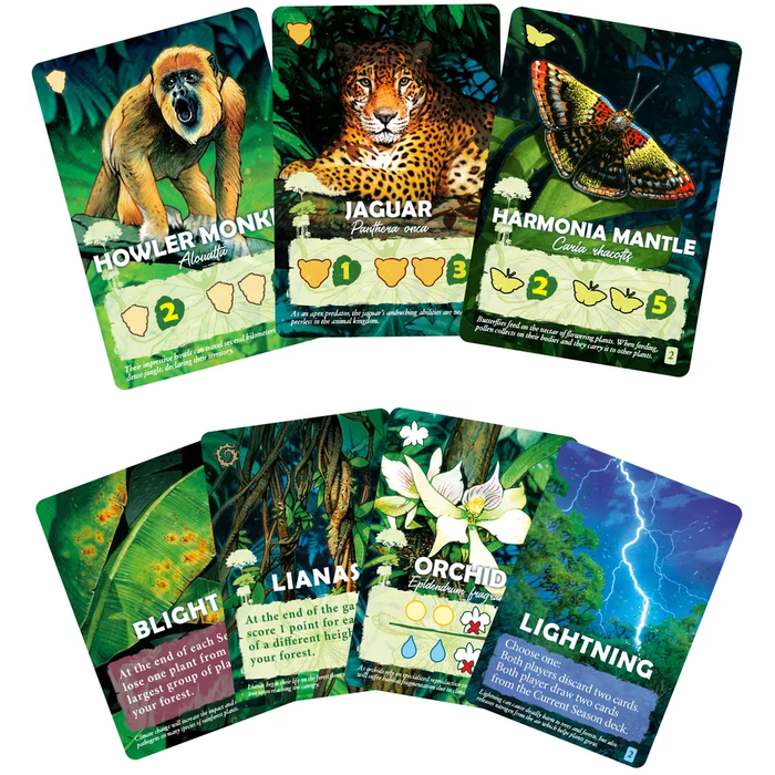 Weird City Games Canopy