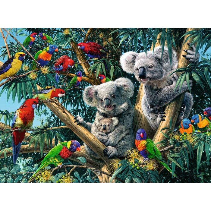 Ravensburger 500 pcs - Koalas in a Tree