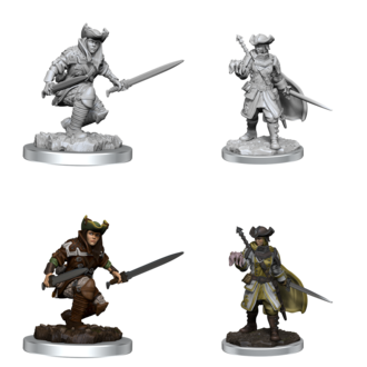 D&D Nolzur's Marvelous Miniatures: Cyclops