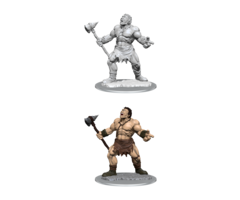 Wizkids/NECA LLC Nolzur's Marvelous Miniatures: Cyclops