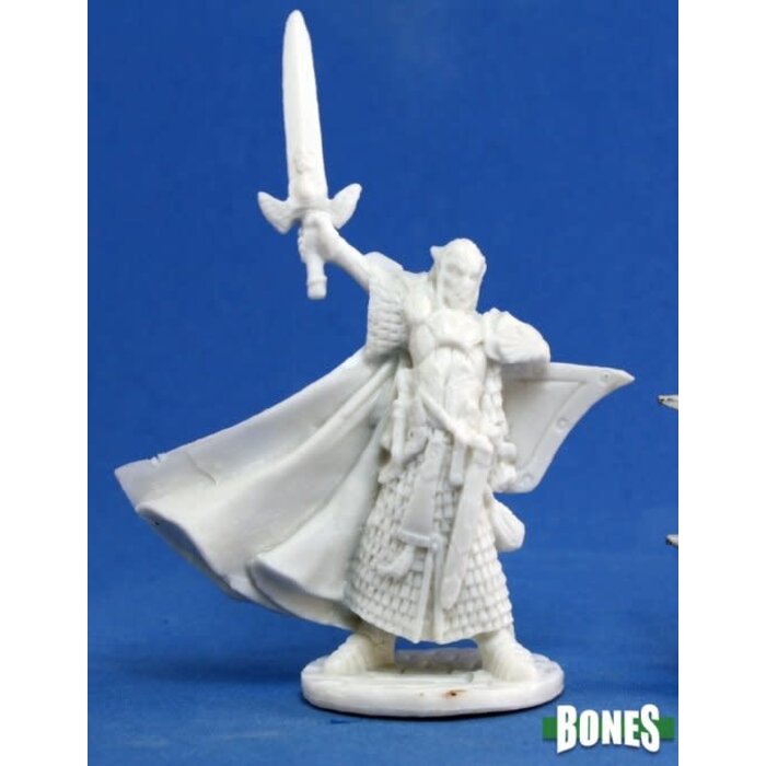 Reaper Miniatures Dark Heaven Bones: Turanil, Male Elf Paladin
