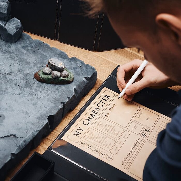 Arcane Tinmen Dragon Shield RPG Player Companion