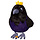 Squishable Mini King Raven 7"