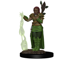Wizkids/NECA LLC D&D Icons of the Realms: Human Druid Female Premium Painted Miniature