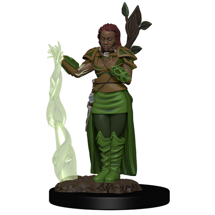 Wizkids/NECA LLC D&D Icons of the Realms: Human Druid Female Premium Painted Miniature