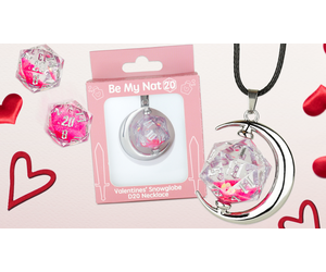 Valentines' Snowglobe D20 Necklace, Accessories