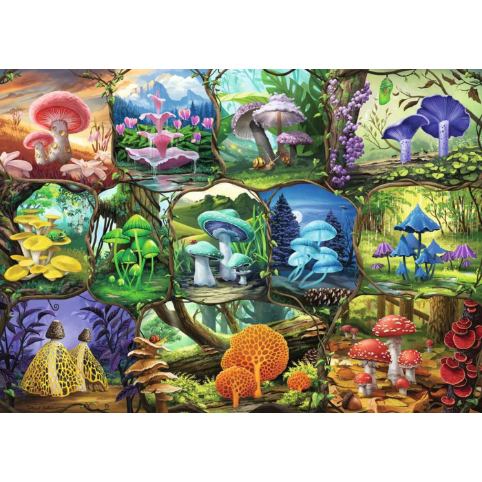 Ravensburger 1000 pcs - Beautiful Mushrooms
