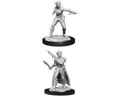 Wizkids/NECA LLC Nolzur's Marvelous Miniatures: Shifter Rogue Female