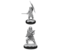 Wizkids/NECA LLC Nolzur's Marvelous Miniatures: Human Fighter Male