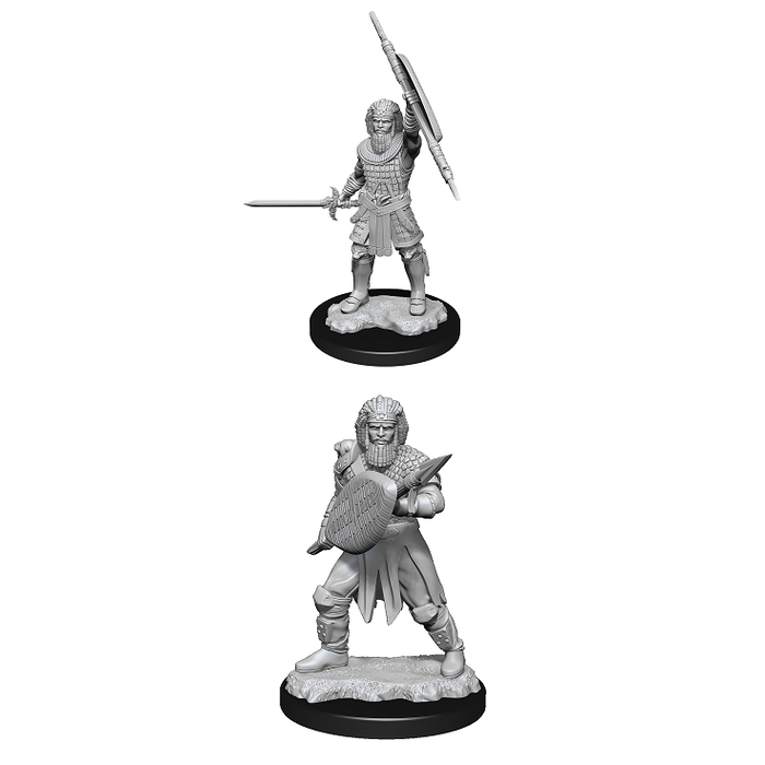 Wizkids/NECA LLC Nolzur's Marvelous Miniatures: Human Fighter Male