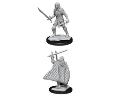 Wizkids/NECA LLC Pathfinder Deep Cuts Miniatures: Elf Fighter Male (2023)