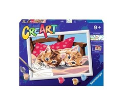 CreArt Paint by Numbers - Two Cuddly Cats
