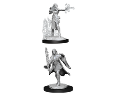 Wizkids/NECA LLC Nolzur's Marvelous Miniatures: Elf Multi-Class Warlock Sorcerer