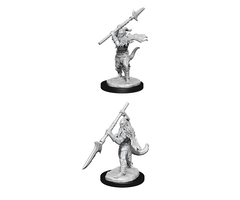 Wizkids/NECA LLC Nolzur's Marvelous Miniatures: Bearded Devils