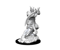 Wizkids/NECA LLC Nolzur's Marvelous Miniatures: Efreeti