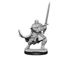 Wizkids/NECA LLC Nolzur's Marvelous Miniatures: Half-Orc Paladin Male