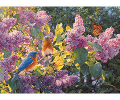 Cobble Hill Puzzles 500 pcs - Spring Interlude
