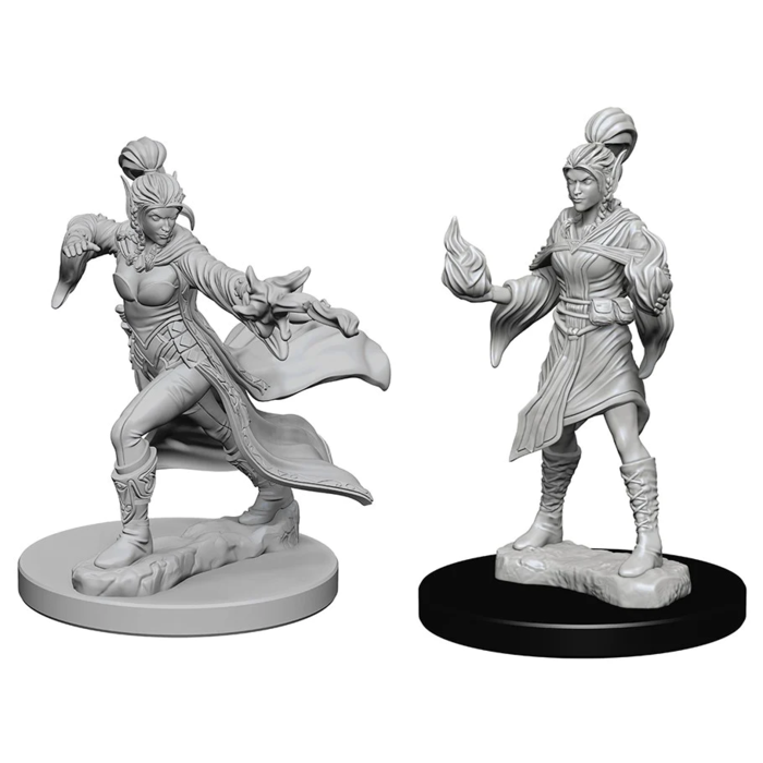 Wizkids/NECA LLC Pathfinder Deep Cuts Miniatures: Elf Sorcerer Female