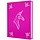 My Little Pony RPG Tails of Equestria Character Journal