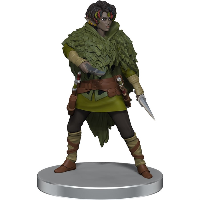 Wizkids/NECA LLC D&D Icons of the Realms: Dragonlance - Warrior Set