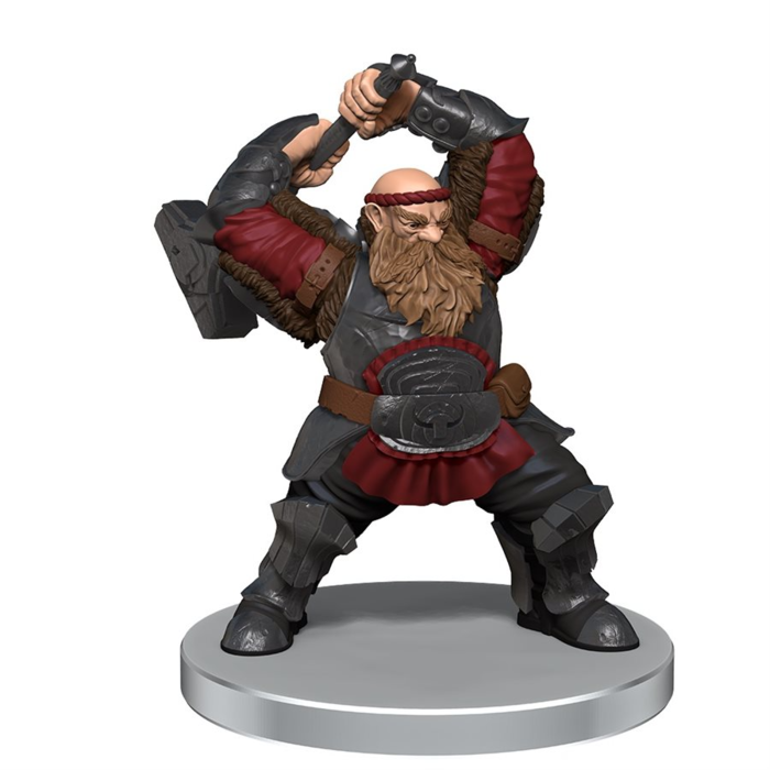 Wizkids/NECA LLC D&D Icons of the Realms: Dragonlance - Warrior Set