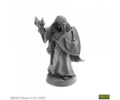 Reaper Miniatures Bones USA: Thess Ironfaith (Hotel Mini)