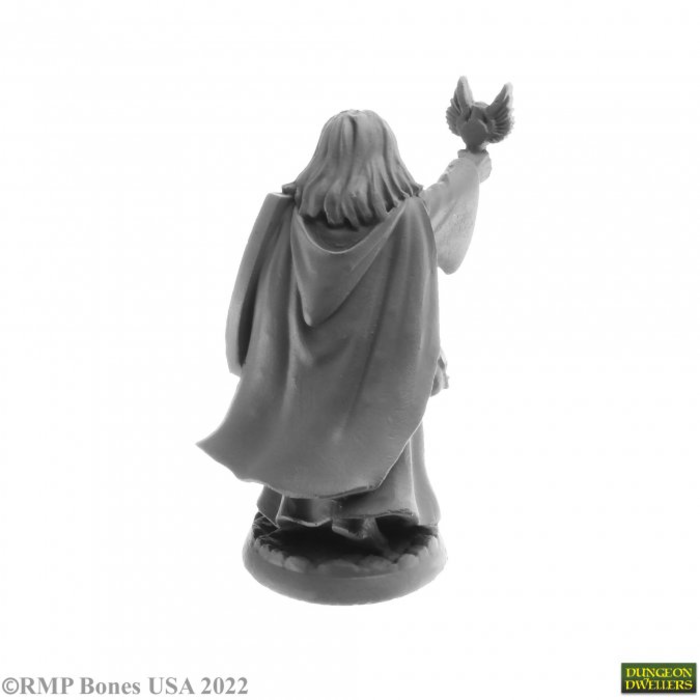 Reaper Miniatures Bones USA: Thess Ironfaith (Hotel Mini)