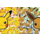 80 pcs - Pokemon: A Lot of Pikachu and Eevee