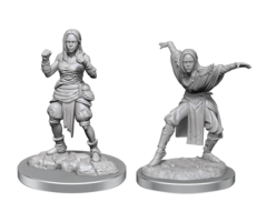 Wizkids/NECA LLC Pathfinder Deep Cuts Miniatures: Half-Elf Monk Female