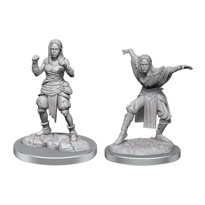 Wizkids/NECA LLC Pathfinder Deep Cuts Miniatures: Half-Elf Monk Female
