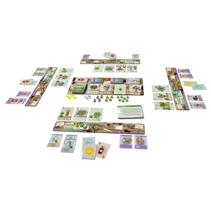 Buffalo Games Planted