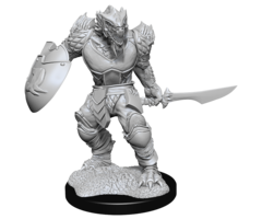 Wizkids/NECA LLC Nolzur's Marvelous Miniatures: Dragonborn Fighter (Male)