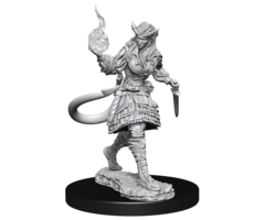 Wizkids/NECA LLC Nolzur's Marvelous Miniatures: Tiefling Sorcerer Female (2023)