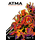 ATMA: The Roleplaying Card Game - Act 2