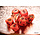7-Piece Mini RPG Dice Set Wave 3