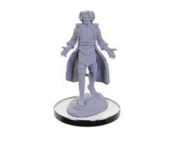 Wizkids/NECA LLC Critical Role Miniatures: Lucien/Cree