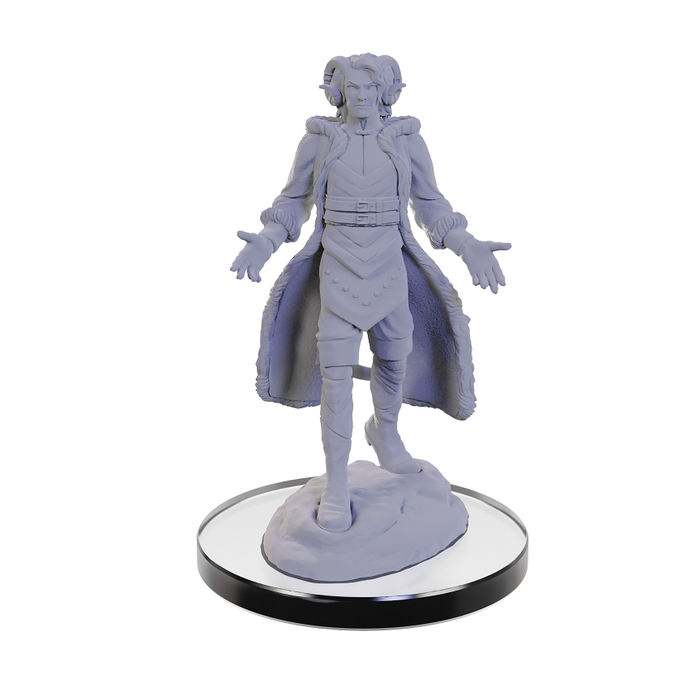 Wizkids/NECA LLC Critical Role Miniatures: Lucien/Cree