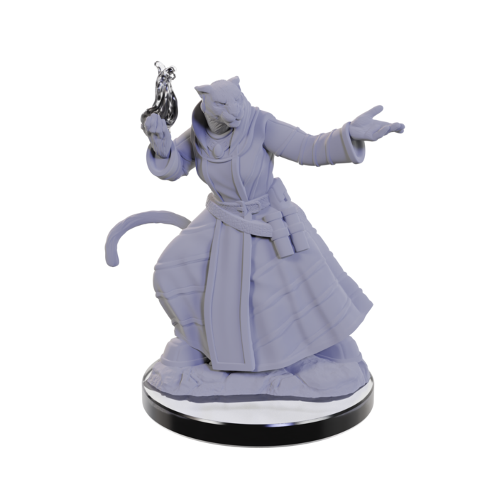 Wizkids/NECA LLC Critical Role Miniatures: Lucien/Cree