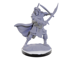 Wizkids/NECA LLC Nolzur's Marvelous Miniatures: Human Rangers