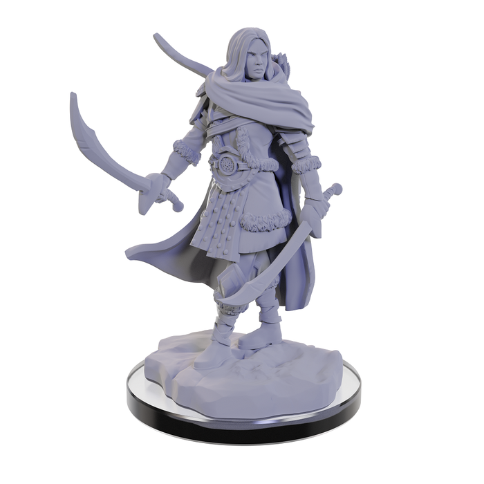 Wizkids/NECA LLC Nolzur's Marvelous Miniatures: Human Rangers