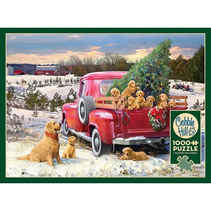 Cobble Hill Puzzles 1000 pcs - Family Outing