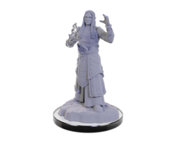 Wizkids/NECA LLC Nolzur's Marvelous Miniatures: Elf Wizards