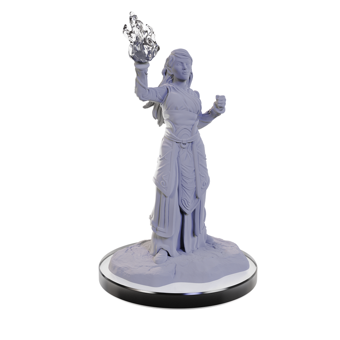 Wizkids/NECA LLC Nolzur's Marvelous Miniatures: Elf Wizards