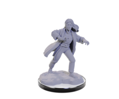 Wizkids/NECA LLC Nolzur's Marvelous Miniatures: Reborn Paladin/Warlock