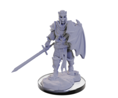 Wizkids/NECA LLC Pathfinder Deep Cuts Miniatures: Plague Zombie & Skeletal Champion