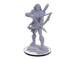 Wizkids/NECA LLC Pathfinder Deep Cuts Miniatures: Wood Giant
